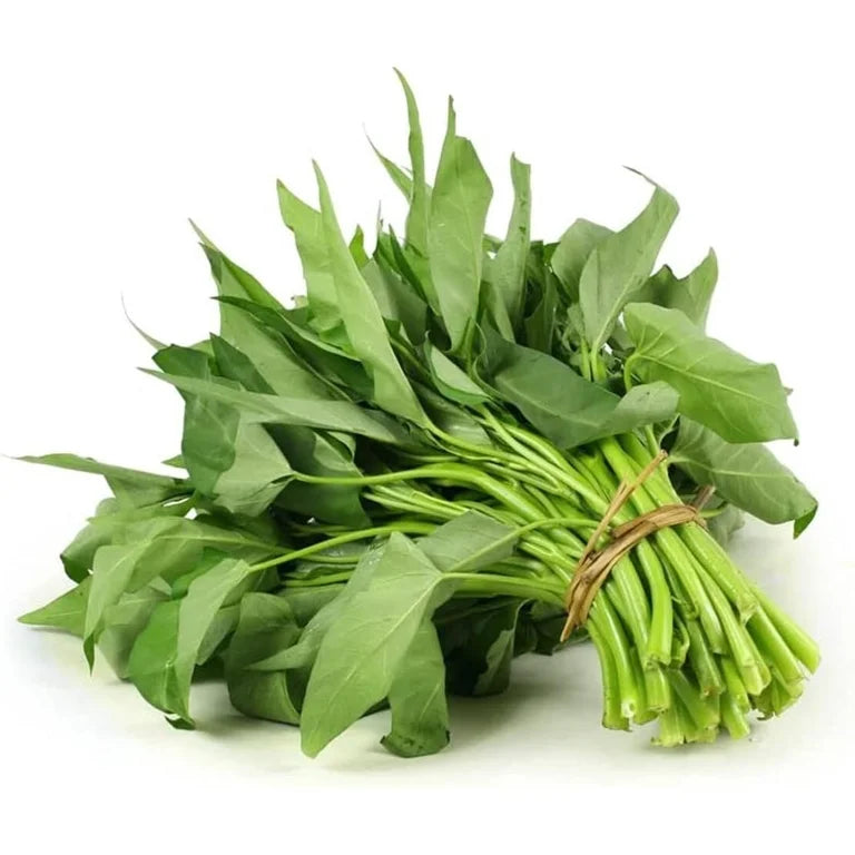 Kangkong (Ong Choy) Vegetable