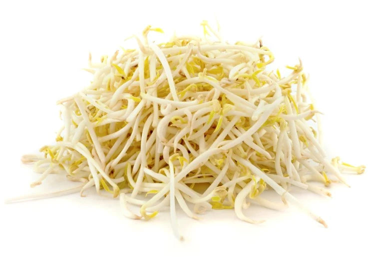 BIANG Mung Bean Sprouts 1kg