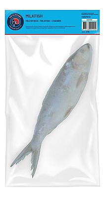 MOOIJER Milkfish 500/800 8kg