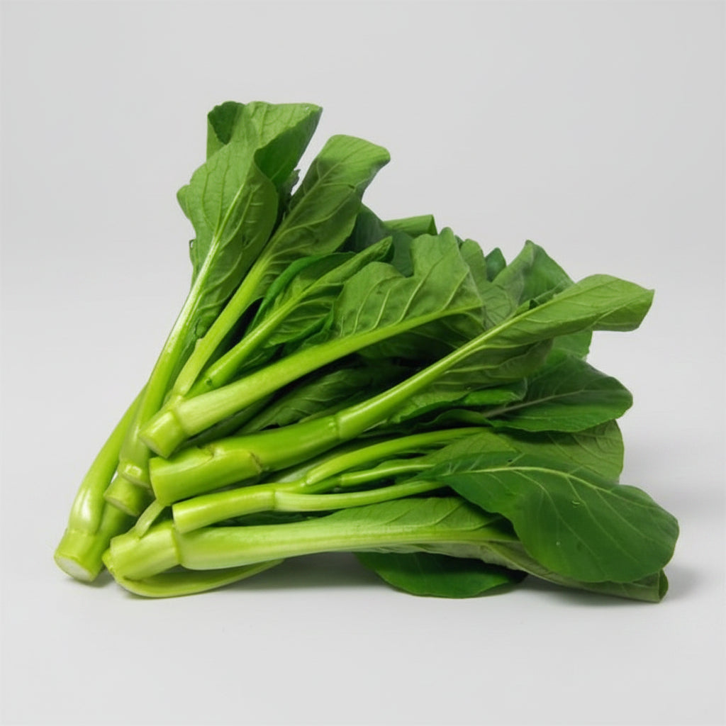 A bunch of fresh green Chinese broccoli or bok choy with bright green stems and leaves, isolated on a white background.