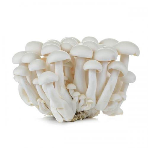 Fresh White Beech Mushroom (Shimeji) 150g