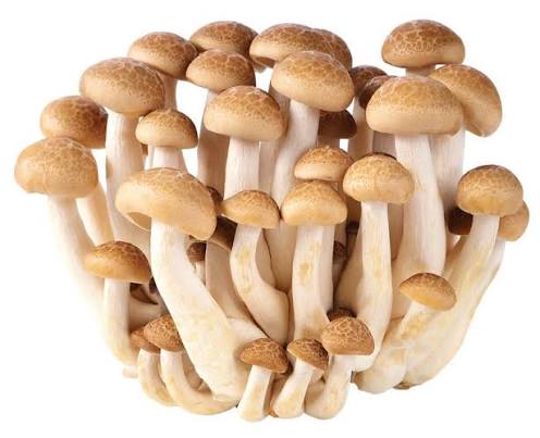 Fresh Brown Beech Mushroom (Shimeji) 150g